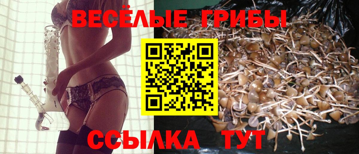 Псилоцибиновые грибы мухоморы Арзамас